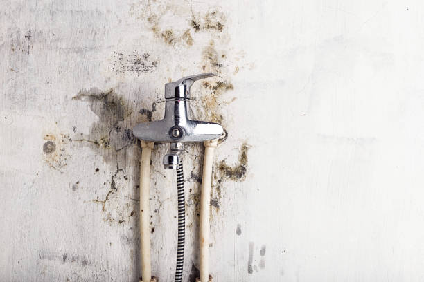 Best Fast Mold Removal  in Ahwahnee, CA