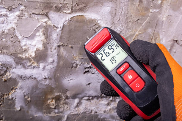 Best Professional Mold Removal  in Ahwahnee, CA