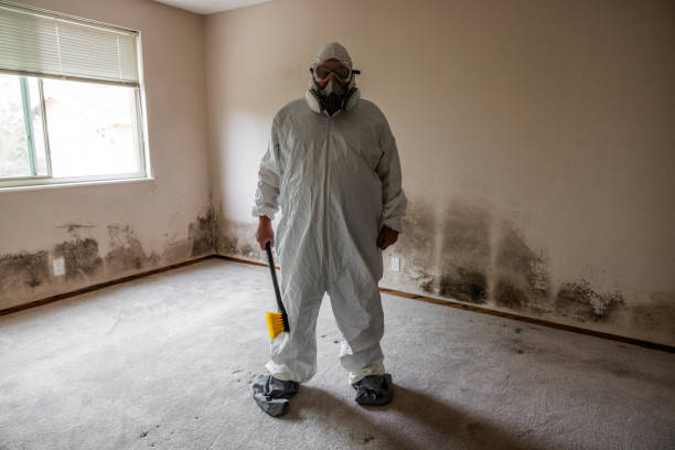 Reliable Ahwahnee, CA Mold Removal Solutions