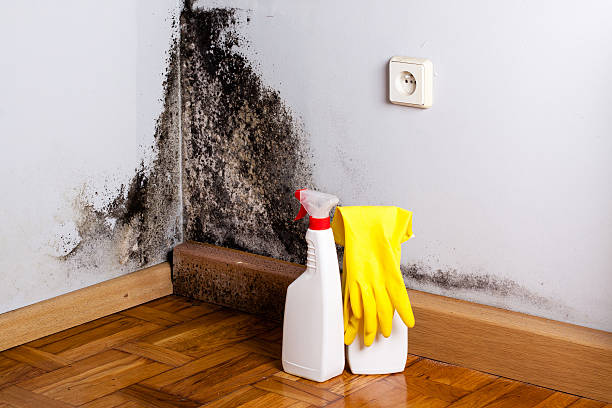 Best Mold Testing  in Ahwahnee, CA
