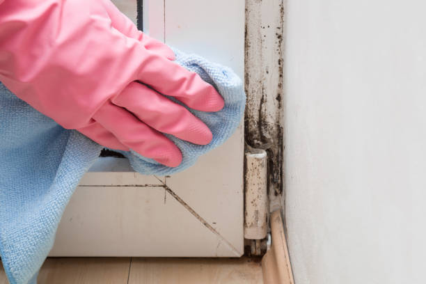 Best Crawl Space Mold Removal  in Ahwahnee, CA